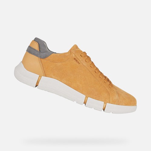 Geox Adacter Sneakers Herren Senfgelb | UHE-742160