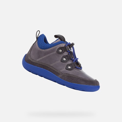 Geox Barefeel Sneakers Mädchen Grau Königsblau | CXW-309642