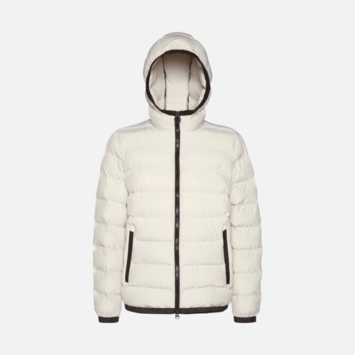 Geox Spherica Daunenjacken Herren Rainy Day | YLX-987314